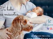 bebé mascotas