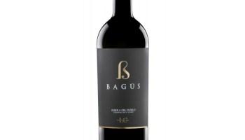 XXIII Premios Envero 2022