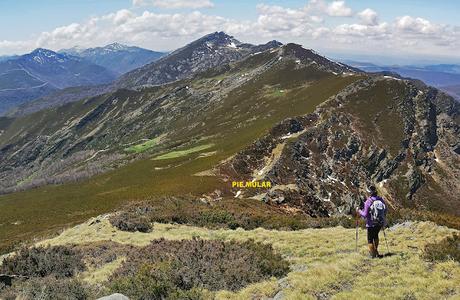 TESO MULAR (Circular desde Tablado) TESO MULAR (Circular desde Tablado)