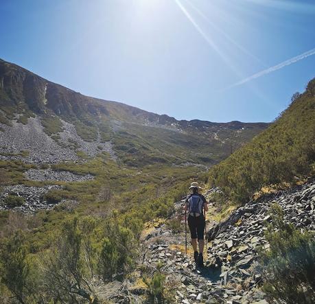 TESO MULAR (Circular desde Tablado) TESO MULAR (Circular desde Tablado)