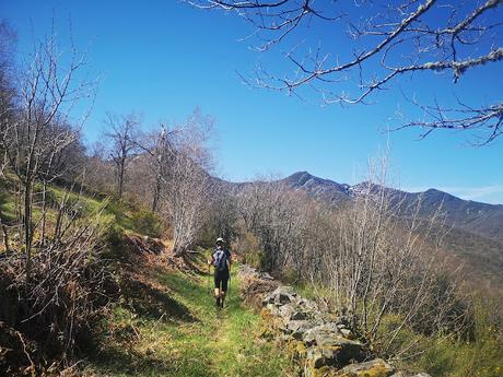 TESO MULAR (Circular desde Tablado)