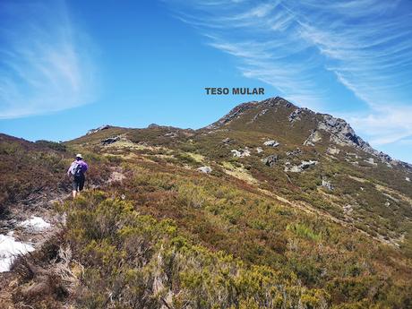 TESO MULAR (Circular desde Tablado) TESO MULAR (Circular desde Tablado)