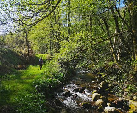 TESO MULAR (Circular desde Tablado) TESO MULAR (Circular desde Tablado)