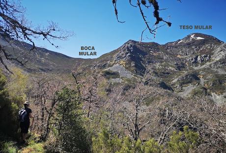 TESO MULAR (Circular desde Tablado) TESO MULAR (Circular desde Tablado)