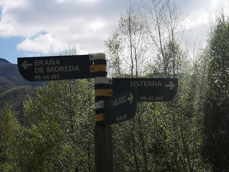 TESO MULAR (Circular desde Tablado) TESO MULAR (Circular desde Tablado)