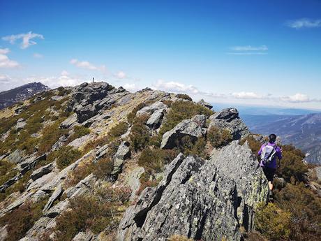 TESO MULAR (Circular desde Tablado) TESO MULAR (Circular desde Tablado)