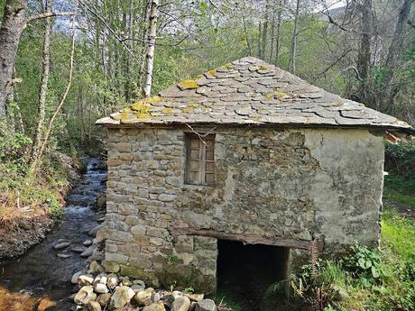 TESO MULAR (Circular desde Tablado) TESO MULAR (Circular desde Tablado)