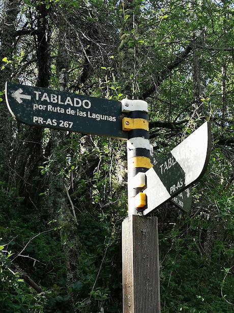 TESO MULAR (Circular desde Tablado) TESO MULAR (Circular desde Tablado)