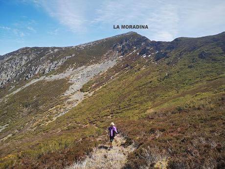 TESO MULAR (Circular desde Tablado) TESO MULAR (Circular desde Tablado)