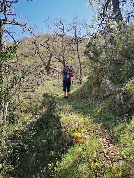 TESO MULAR (Circular desde Tablado) TESO MULAR (Circular desde Tablado)