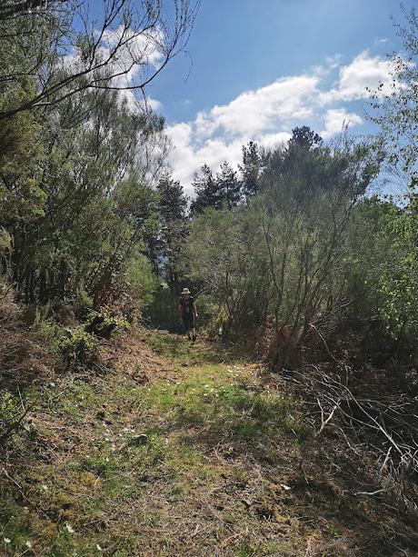 TESO MULAR (Circular desde Tablado) TESO MULAR (Circular desde Tablado)