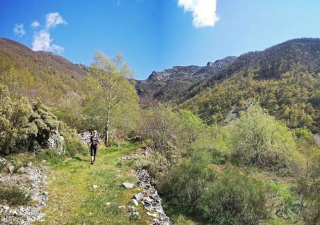 TESO MULAR (Circular desde Tablado) TESO MULAR (Circular desde Tablado)