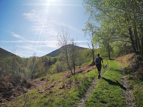 TESO MULAR (Circular desde Tablado) TESO MULAR (Circular desde Tablado)