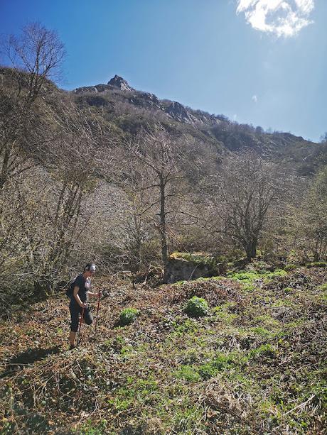 TESO MULAR (Circular desde Tablado) TESO MULAR (Circular desde Tablado)