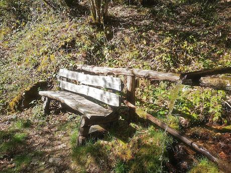 TESO MULAR (Circular desde Tablado) TESO MULAR (Circular desde Tablado)