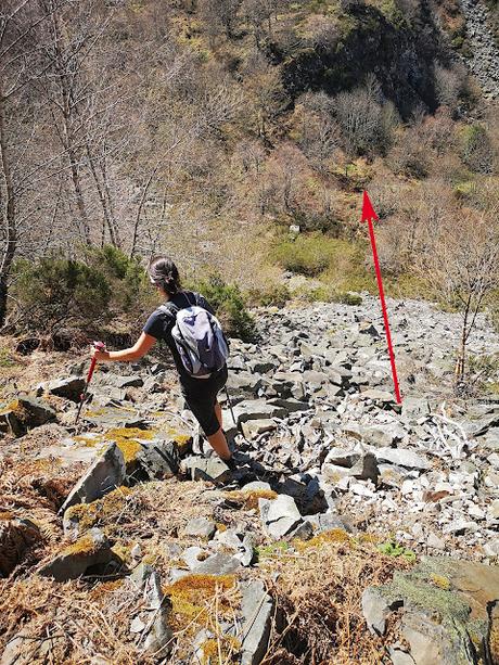 TESO MULAR (Circular desde Tablado) TESO MULAR (Circular desde Tablado)