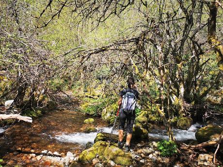 TESO MULAR (Circular desde Tablado) TESO MULAR (Circular desde Tablado)