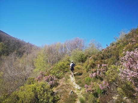 TESO MULAR (Circular desde Tablado) TESO MULAR (Circular desde Tablado)