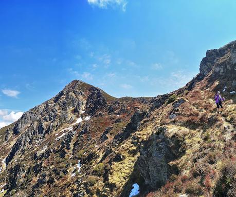 TESO MULAR (Circular desde Tablado) TESO MULAR (Circular desde Tablado)