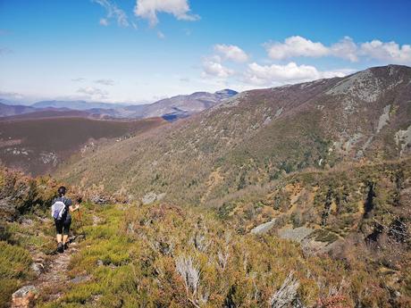 TESO MULAR (Circular desde Tablado) TESO MULAR (Circular desde Tablado)