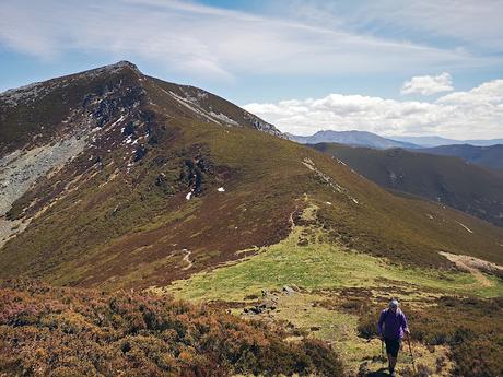TESO MULAR (Circular desde Tablado) TESO MULAR (Circular desde Tablado)