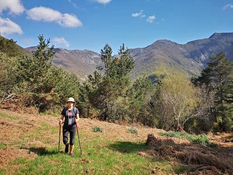 TESO MULAR (Circular desde Tablado)