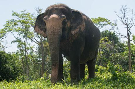 5 Mejores Excursiones desde Bangkok excursiones desde Bangkok