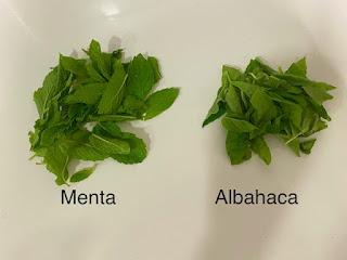 ENSALADA DE SANDIA, MELON ,MELOCOTÓN Y JAMÓN! ENSALADA DE SANDIA, MELON ,MELOCOTÓN Y JAMÓN!