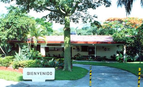 Escuelas de ingles en Cuernavaca Escuelas de ingles en Cuernavaca