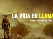 vida llamas