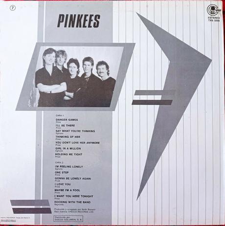 The Pinkees -The Pinkees Lp 1983 (1982) The Pinkees -The Pinkees Lp 1983 (1982)