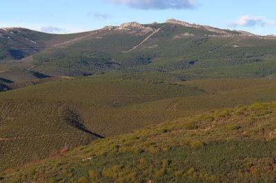 Sierra de la Culebra (Zamora)
