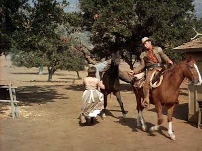 PIEL DE ANTE (Buckskin) (USA, 1968) Western