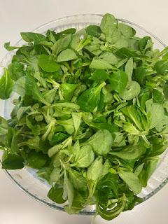 ENSALADA DE AGUACATE Y MANGO CON ALIÑO DE NARANJA ENSALADA DE AGUACATE Y MANGO CON ALIÑO DE NARANJA