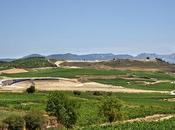 Bodega Beronia Ollauri