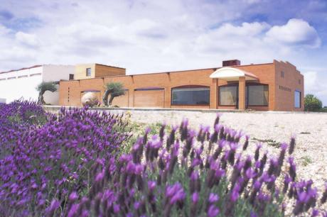 Carlos Moro suma Sanclodio a su conjunto de bodegas boutique Carlos Moro suma Sanclodio a su conjunto de bodegas boutique