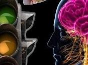 Teoria polivagal practica oferta españa