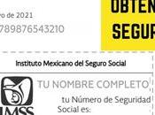 Como Sacar Primera Numero Seguro Social