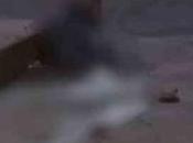 Balean asesinan personas municipio Santo Domingo