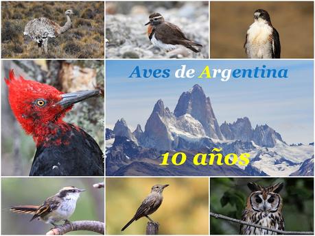 Aves de Argentina: décimo aniversario