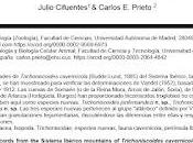 nuevas especies cavidades Soria Burgos