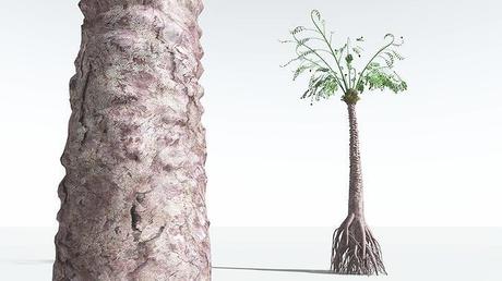 Carbonífero: la época de las plantas y los insectos gigantes