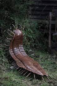 Carbonífero: la época de las plantas y los insectos gigantes