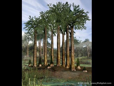 Carbonífero: la época de las plantas y los insectos gigantes