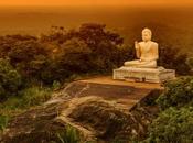 Invitación Zazenkai julio 2022: Gratitud Zen, parte