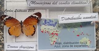 La otra globalización