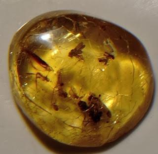 La otra globalización