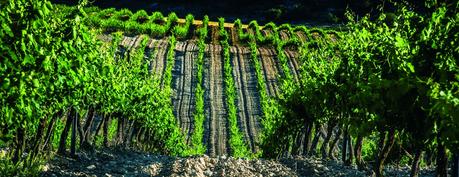BODEGAS DE YUSO, ALZAN UNA NUEVA JOYA DE SU BODEGA