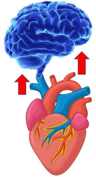 VITALIDAD, ALMA, ESPÍRITU: LAS CAPAS DE LA PERSONALIDAD SEGÚN ORTEGA Y GASSET