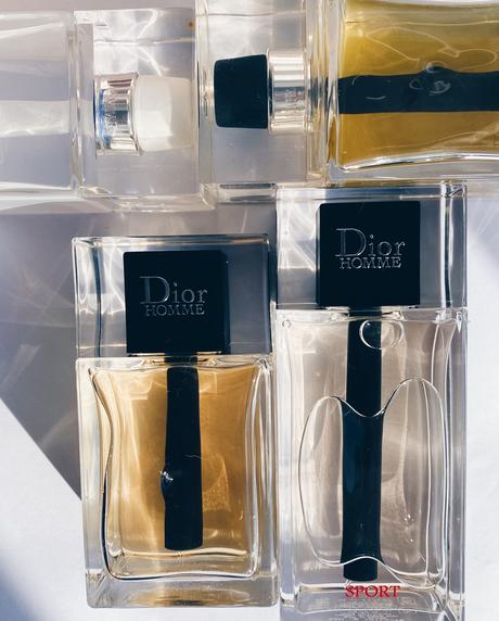 Dior Homme gama completa